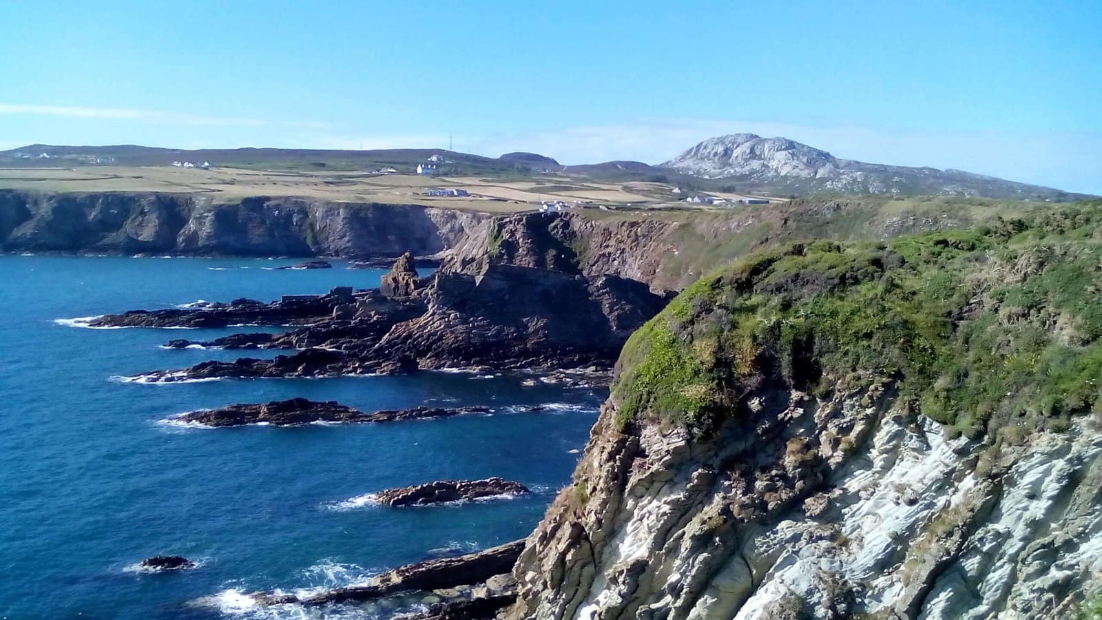 Holy Island Coastal Path Full Day  Anglesesey Walking Tour Guideed Full Loop Circuit (1x Client) Time 10-12 Hour -Trip F - Image 6