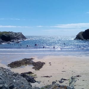 Anglesey Porth Dafarch to South Stack  Walking Tours (1x Client) Time 4/5 Hour -Trip D-